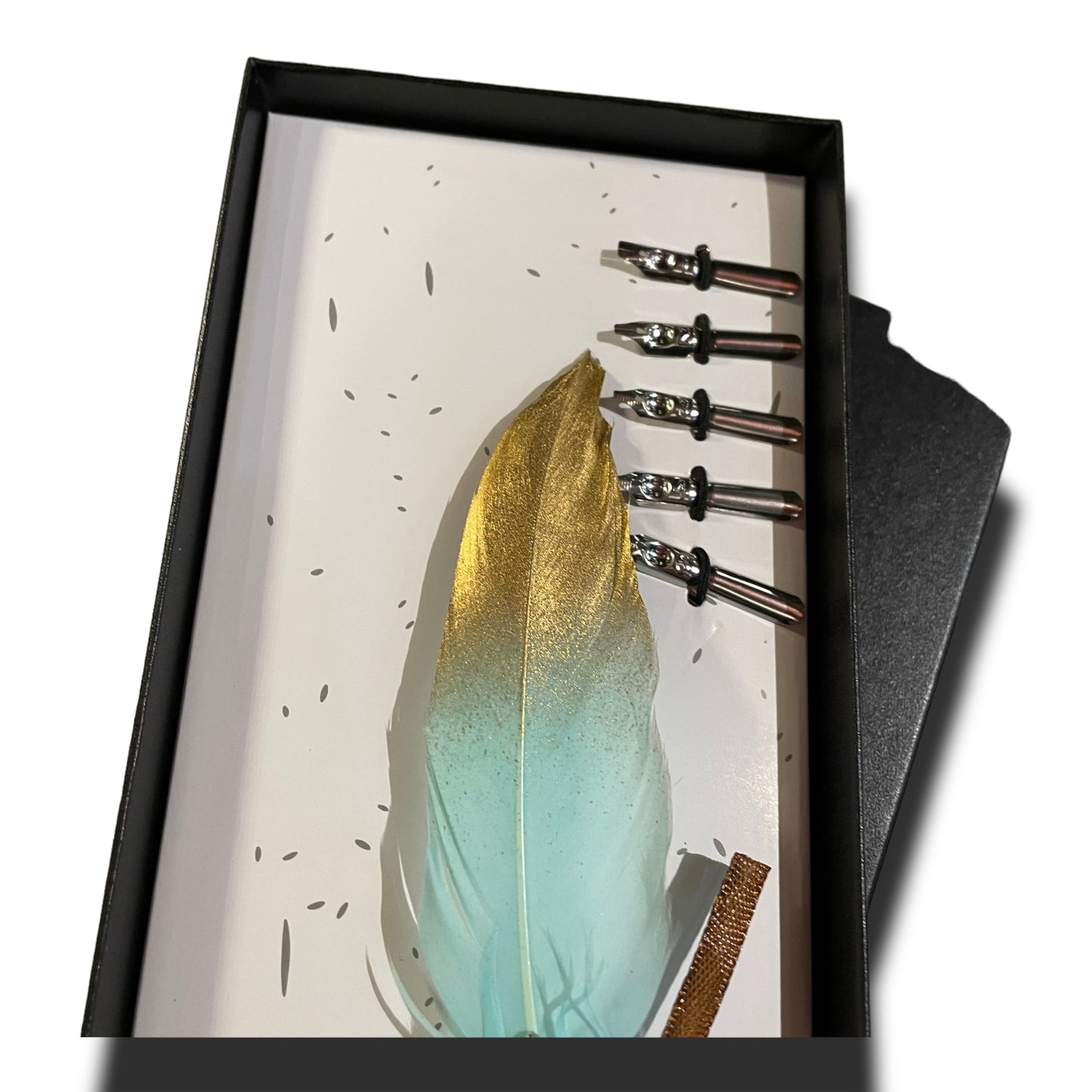 Pluma caligráfica x6