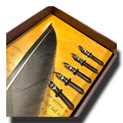 Pluma caligráfica x6