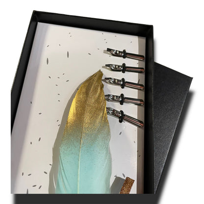 Pluma caligráfica x6